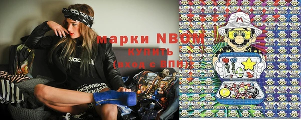 гидропоника Каменногорск